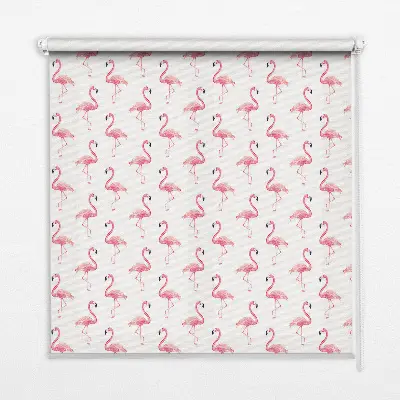 Estores de rolo interiores blackout para janela Flamingos