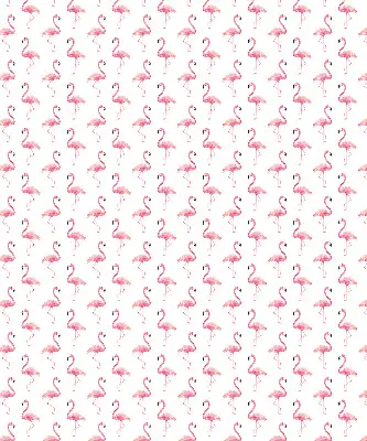 Estores de rolo interiores blackout para janela Flamingos