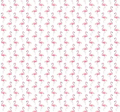 Estores de rolo interiores blackout para janela Flamingos