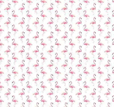 Estores de rolo interiores blackout para janela Flamingos