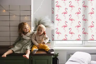 Estores de rolo interiores blackout para janela Flamingos