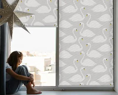 Estores de rolo interiores blackout para janela Cisnes