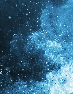 Estores de rolo interiores blackout para janela Cosmos