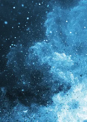 Estores de rolo interiores blackout para janela Cosmos