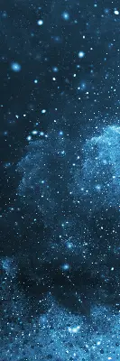 Estores de rolo interiores blackout para janela Cosmos