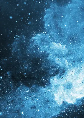 Estores de rolo interiores blackout para janela Cosmos