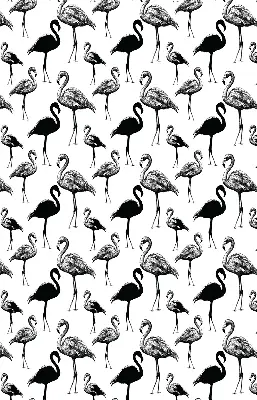 Estores de rolo blackout para porta de varanda flamingos pretos