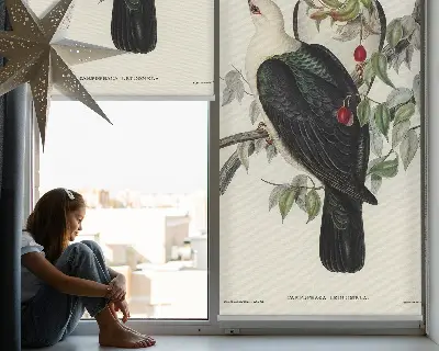 Estores de rolo blackout para porta de varanda Pássaros em um galho
