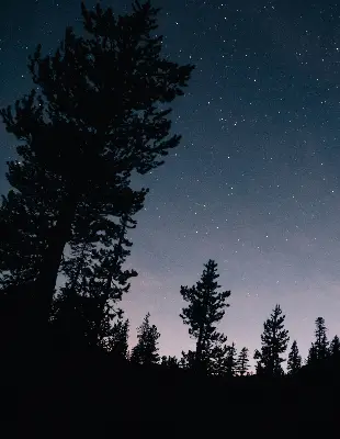 Estores de rolo blackout para porta de varanda Céu estrelado