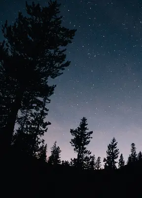 Estores de rolo blackout para porta de varanda Céu estrelado