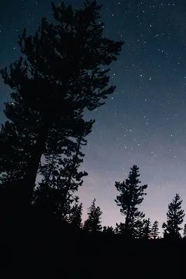 Estores de rolo blackout para porta de varanda Céu estrelado
