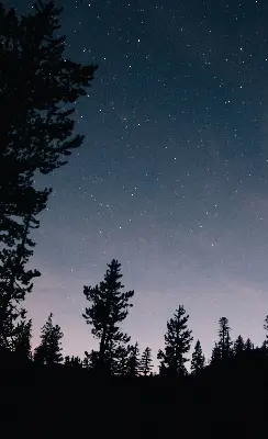 Estores de rolo blackout para porta de varanda Céu estrelado