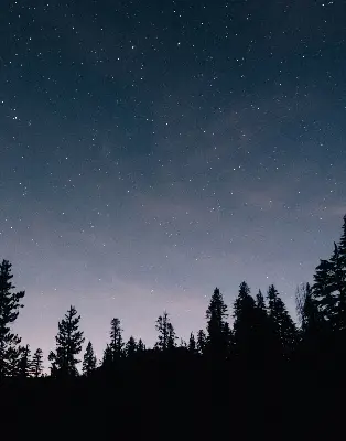 Estores de rolo blackout para porta de varanda Céu estrelado