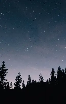 Estores de rolo blackout para porta de varanda Céu estrelado