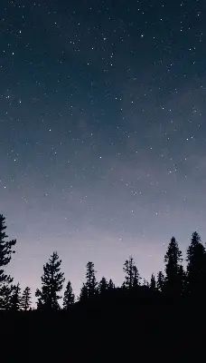 Estores de rolo blackout para porta de varanda Céu estrelado