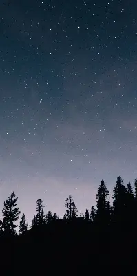 Estores de rolo blackout para porta de varanda Céu estrelado