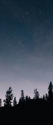 Estores de rolo blackout para porta de varanda Céu estrelado