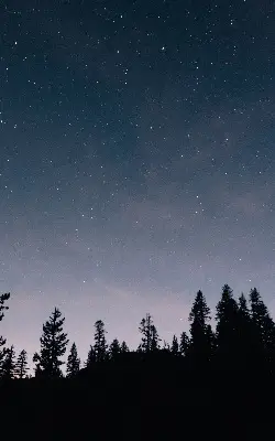 Estores de rolo blackout para porta de varanda Céu estrelado