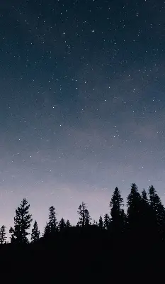 Estores de rolo blackout para porta de varanda Céu estrelado