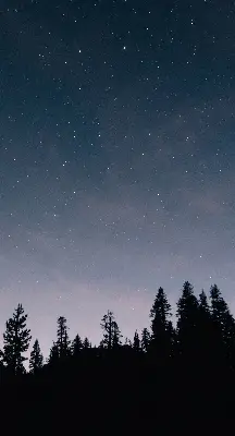 Estores de rolo blackout para porta de varanda Céu estrelado