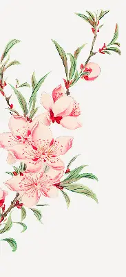 Estores de rolo interiores blackout para janela Flor rosa