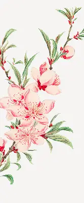 Estores de rolo interiores blackout para janela Flor rosa