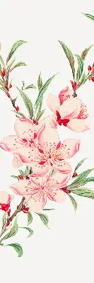 Estores de rolo interiores blackout para janela Flor rosa