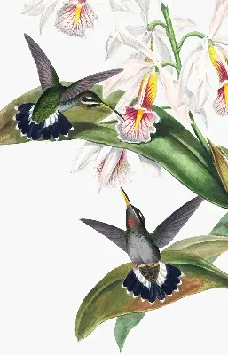 Estores de rolo blackout para janela Pássaros em uma flor