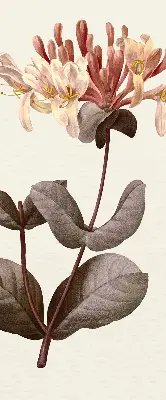 Estores de rolo blackout para porta de varanda Flor caindo
