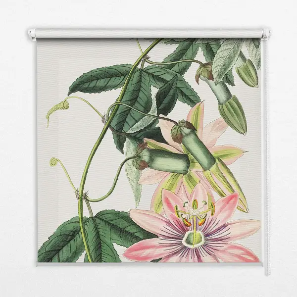 Estores de rolo blackout para janela Flor rosa