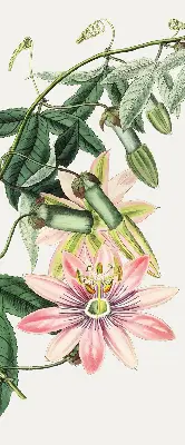 Estores de rolo blackout para janela Flor rosa