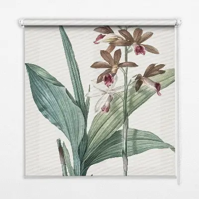 Estores de rolo blackout para porta de varanda Flor
