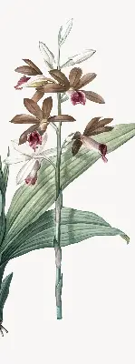 Estores de rolo blackout para porta de varanda Flor
