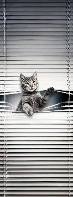Estores de rolo interiores blackout Gato