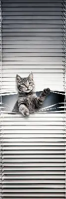 Estores de rolo interiores blackout Gato