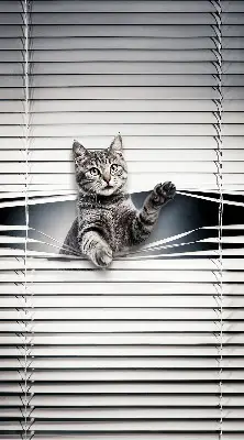 Estores de rolo interiores blackout Gato