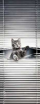 Estores de rolo interiores blackout Gato