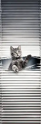 Estores de rolo interiores blackout Gato