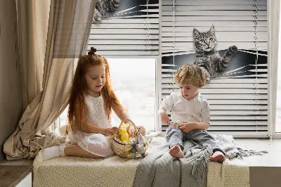 Estores de rolo interiores blackout Gato