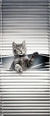 Estores de rolo interiores blackout Gato