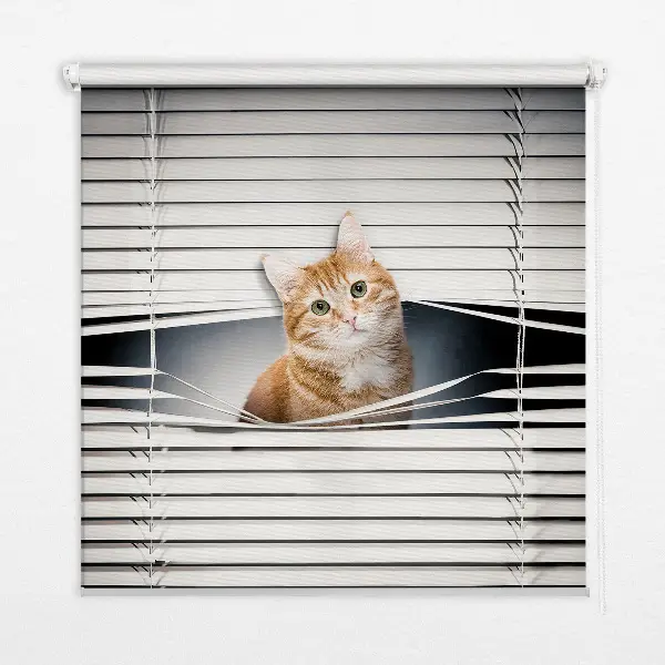 Estores de rolo blackout para porta de varanda Gato ruivo