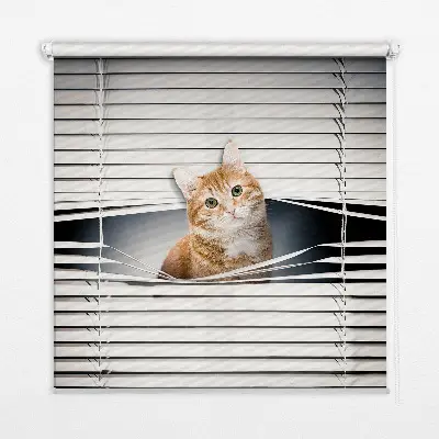Estores de rolo blackout para porta de varanda Gato ruivo