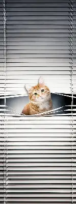 Estores de rolo blackout para porta de varanda Gato ruivo