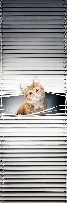 Estores de rolo blackout para porta de varanda Gato ruivo