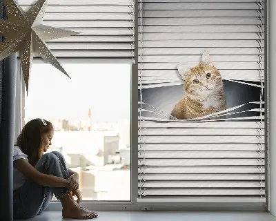 Estores de rolo blackout para porta de varanda Gato ruivo