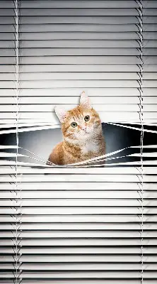 Estores de rolo blackout para porta de varanda Gato ruivo