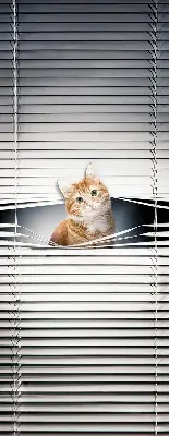 Estores de rolo blackout para porta de varanda Gato ruivo