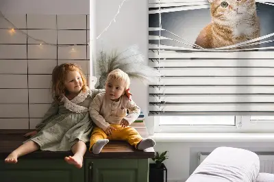 Estores de rolo blackout para porta de varanda Gato ruivo