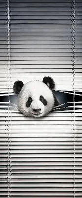 Estores de rolo interiores blackout para janela Panda