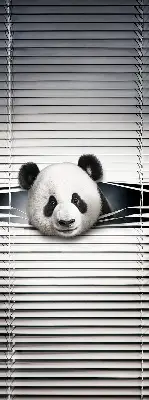 Estores de rolo interiores blackout para janela Panda